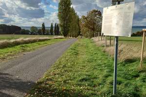6 Zimmer im Grünen am Schweriner See – Storchenweg 6b, 19067 Dobin am See – Vorschaubild 33