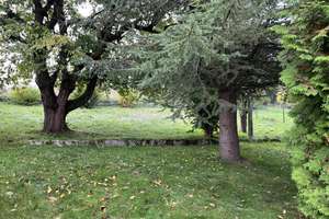 Am Ortsrand gelegen...
 – Die vollständige Adresse der Immobilie erhältst du vom Anbieter., 31061 Alfeld (Leine) – Vorschaubild 3