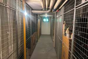 Traumhafte 3-Zimmer-Wohnung mit Einbauküche, Balkon & Duplex zu vermieten – Magdeburger Straße 2, 78467 Fürstenberg, Konstanz – Vorschaubild 10
