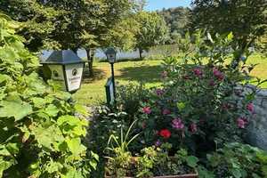MFH - 3 ETW incl. Gaststätte - TRAUM direkt der Mosel - hochwassersicher - KRÖV - RARITÄT! – Bernkastel-Wittlich (Kreis) – Vorschaubild 20