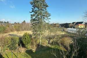 Frisch renoviertes feistehendes Einfamilienhaus mit viel Platz in Meerbusch-Büderich – Dülsweg 6, 40667 Neuss (Rhein-Kreis) – Vorschaubild 12