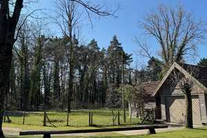Einzigartiges Anwesen mit Charme, weitläufigem Garten und idyllischem Flair – Gütersloh (Kreis) – Vorschaubild 18