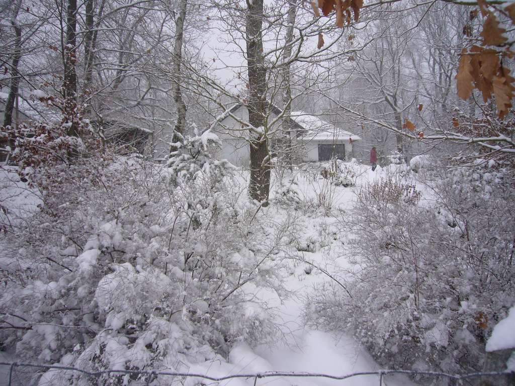 Immobilie in Diemelsee - Gepflegter Winkelbungalow im kl. FerienhsGebiet, 4 Einh. im priv.Besitz u. Nutzung, mit Erstwohnsitz - Bild 0