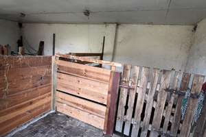 Tierliebhaber aufgepasst – Die vollständige Adresse der Immobilie erhältst du vom Anbieter., 4924 Uebigau-Wahrenbrück – Vorschaubild 8