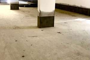 Preisaktion! 3 Zimmer.-ETW , gr. Garten. Erstbezug. Besichtigung So. 12.04.  von 13 - 15 h – Hausenring 9, 70499 Hausen, Stuttgart – Vorschaubild 8