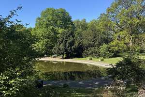 Bezugsfrei - Wohnen über den Dächern Eilbeks - mit Weitblick über den Jacobipark bis zum Hafen. – Friedenstraße 23, 22089 Eilbek, Hamburg – Vorschaubild 9
