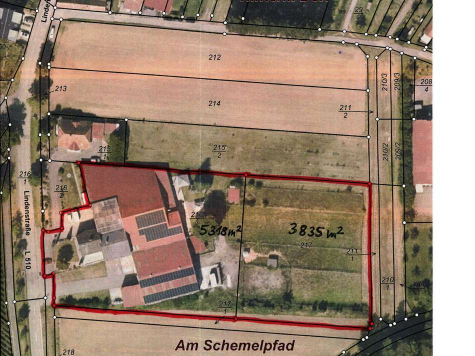 1E-Lindenhof 2025
