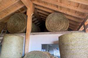 Idyllisches Anwesen in ruhiger Weilerlage – Perfekt für Naturliebhaber und Tierhalter – Die vollständige Adresse der Immobilie erhältst du vom Anbieter., 84326 Falkenberg – Vorschaubild 22