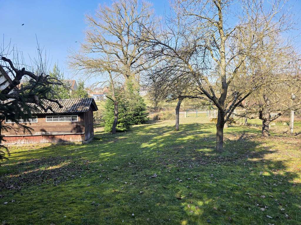 Immobilie in Untermerzbach - Bauernhaus-Perle mit Charakter und unendlichen Möglichkeiten! - Bild 4