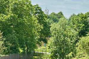 Hier wächst Ihr Familienglück: Geräumiges Haus mit Gartenparadies am Main - Mit Einliegerwohnung – Groß-Gerau (Kreis) – Vorschaubild 3