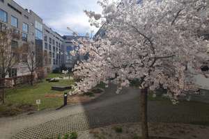 Property thumbnail 1