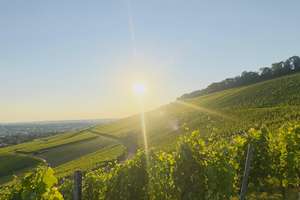 Wohnen mit Charakter: 2-Zimmer-Wohnung in der Heilbronner Kernstadt | in mitten der Weinberge