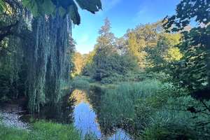 ** Wohnen im traumhaften Dachgeschoss ..in der "Parkstadt Leipzig" *** WE B21.15 - ZEIT FÜR MEHR – 4289 Meusdorf, Leipzig – Vorschaubild 7