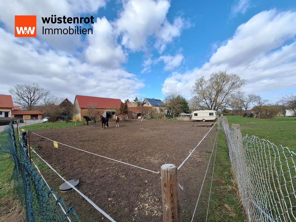 Immobilie in Kemberg - Teilsaniertes EFH in Rackith. Viel Platz für Familie, Garten, Tierhaltung & individuelle Gestaltung - Bild 2