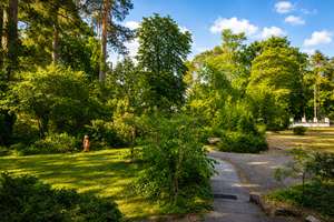 Rarität in Villenlage: Charmantes Einfamilienhaus um 1912 erbaut mit Wintergarten in ruhiger Umgebun – Die vollständige Adresse der Immobilie erhältst du vom Anbieter., 14612 Falkensee – Vorschaubild 12