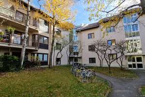  Wohlfühloase  im Grünen (64qm + Hobbyraum)  VON PRIVAT, ab sofort – Agnes-Bernauer-Str. 11b, 80687 Friedenheim, München – Vorschaubild 17
