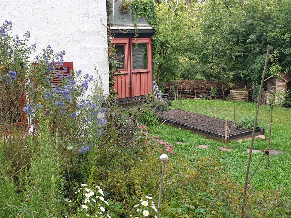 Blick in Garten