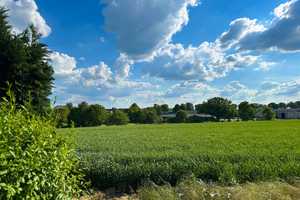 Haus im skandinavischen Stil – trifft auf – idyllische Feldrandlage – Nordwestmecklenburg (Kreis) – Vorschaubild 31