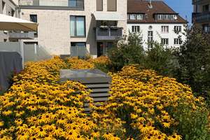 Großzügige und rollstuhlgerechte Neubauwohnung – Gökerstraße 152, 26384 Heppens, Wilhelmshaven – Vorschaubild 4