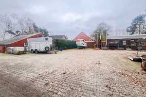 "Idyllischer Resthof in Alleinlage: Tolles Anwesen mit Hofladen, Reitplatz! – Emsland (Kreis) – Vorschaubild 10