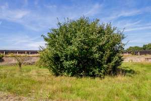 Traumlage mit Schlossblick – Wohnen über den Dächern von Rudolstadt | Cumbach – Am Stutenrand 32, 7407 Rudolstadt – Vorschaubild 11