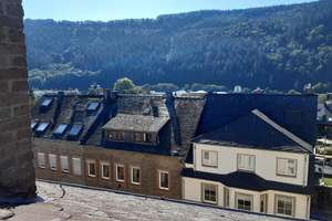 großes Haus in Traben-Trarbach Mosel 900 qm Wfl. + Nfl. – Die vollständige Adresse der Immobilie erhältst du vom Anbieter., 56841 Traben-Trarbach – Vorschaubild 15