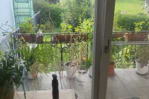 großes Einfamilienhaus mit riesigem Garten in Buch – Neu-Ulm (Kreis) – Vorschaubild 9