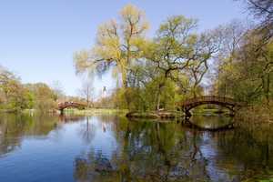 Property thumbnail 20