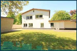 Familientraum in 2. Reihe – Teltow-Fläming (Kreis) – Vorschaubild 2