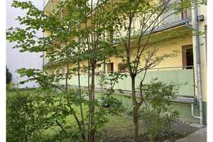 Property thumbnail 3