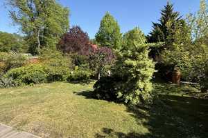 Altlandsberg-Bruchmühle: Stilvolles & Massives EFH mit herrlichen Garten in Top Lage / Nähe Berlin! – Märkisch-Oderland (Kreis) – Vorschaubild 33