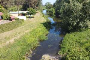 Paradies auf Erden! Wochenendhaus mit Wasserzugang - kein Bauland! – Die vollständige Adresse der Immobilie erhältst du vom Anbieter., 39539 Havelberg – Vorschaubild 4