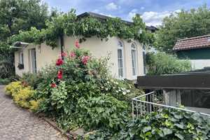 Charmante Villa mit Praxis und Apartments... – Main-Spessart (Kreis) – Vorschaubild 19