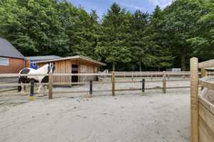 !!Reserviert!!
!! Absolutes Traumobjekt !!
Komplett sanierter Resthof mit über 8000m² Fläche – Emsland (Kreis) – Vorschaubild 42