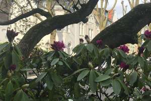 Property thumbnail 13