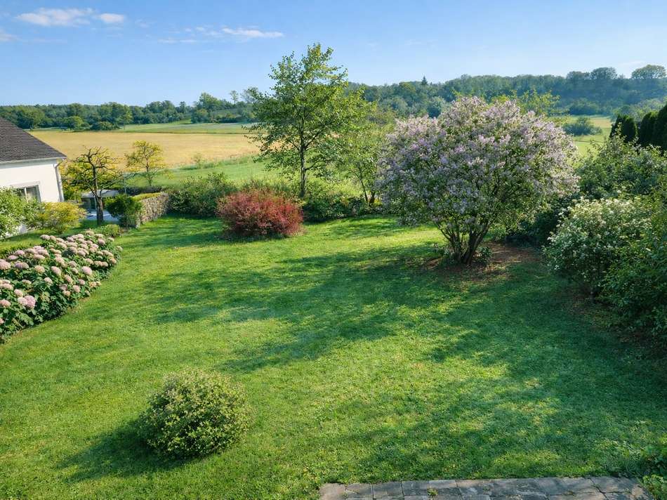 Gartenbild