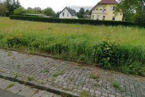 ANGEBOT Schnell sein lohnt sich – Oberspreewald-Lausitz (Kreis) – Vorschaubild 2