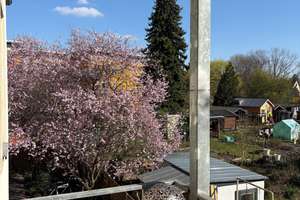 * Großer Balkon mit Blick ins Grüne - ID 6659 * – Die vollständige Adresse der Immobilie erhältst du vom Anbieter., 1129 Trachau, Dresden – Vorschaubild 3
