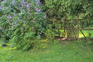 Großzügiges Mehrfamilienhaus mit 3 Wohneinheiten, 4139 m³ Grundstück und traumhaftem Gartenbereich! – Die vollständige Adresse der Immobilie erhältst du vom Anbieter., 2692 Großpostwitz/Oberlausitz – Vorschaubild 24