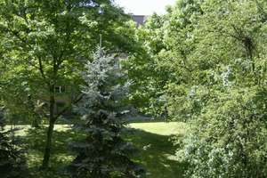 Property thumbnail 4