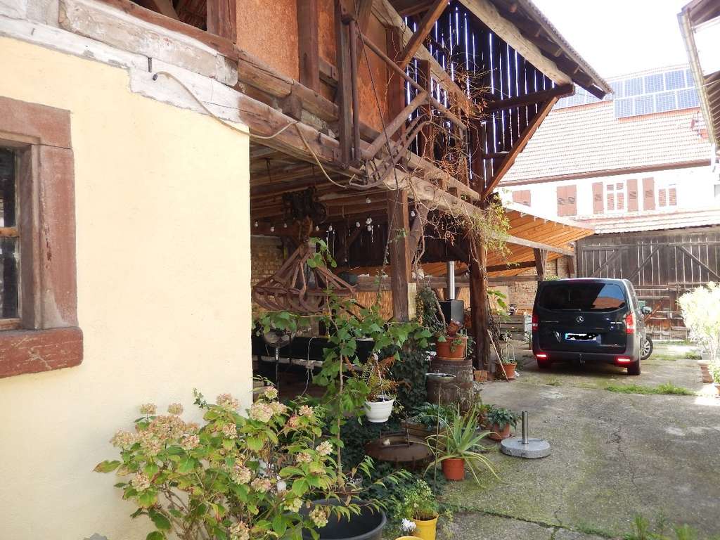 Immobilie in Minfeld - Ehemaliges Landwirtschaftsanwesen in ruhiger Ortslage, baubiologisch und energetisch renoviert. - Bild 1