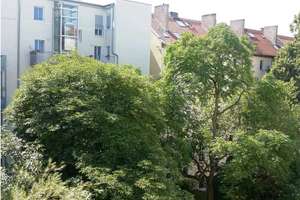 Sonnige möblierte Wohnung in Herzen von Mitte Berlin – Schönholzerstrasse 8, 10115 Mitte (Ortsteil), Berlin – Vorschaubild 22