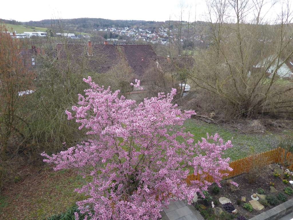 Immobilie in Mömbris - 1 Fam. Wohnhaus (DHH) mit Carport in wunderschöner Südhanglage - Bild 3