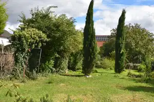 Diese Immobilie mit ihrem Grundstück ,ist ein echtes Juwel, wie man es nur selten findet. – Ludwigshafen am Rhein – Vorschaubild 8