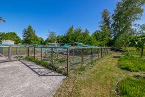 * Idyllisches Reiteranwesen in Wymeer-Einfamilienhaus mit Reitplätzen*  7935 qm   Grundstücksfläche  – Die vollständige Adresse der Immobilie erhältst du vom Anbieter., 26831 Bunde – Vorschaubild 15