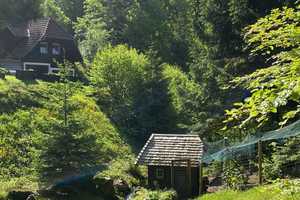 Traumhaftes Schwarzwaldhaus in Alleinlage – Leutschenbach 8, 78098 Schwarzwald-Baar-Kreis – Vorschaubild 22