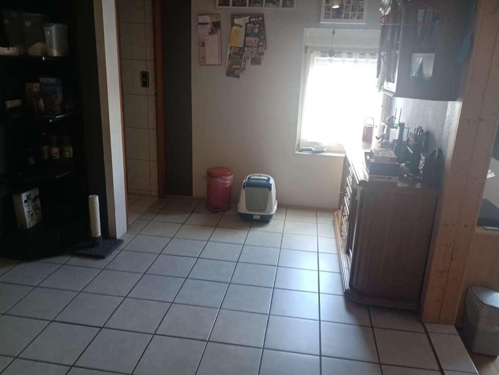 Immobilie in Erdesbach - EFH Erdesbach - Bild 2