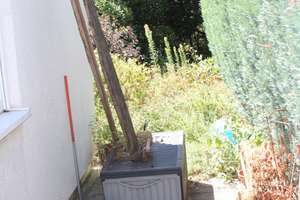Maisonettewohnung für Singels und Paare in bester Lage in Hadamar – Mönchberg 5a, 65589 Hadamar – Vorschaubild 25