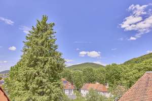 Bestlage Heidelberg-Neuenheim: 5-Zimmer-Maisonette mit Kamin, Loggia & Jugendstilcharme – Die vollständige Adresse der Immobilie erhältst du vom Anbieter., 69120 Handschuhsheim, Heidelberg – Vorschaubild 15