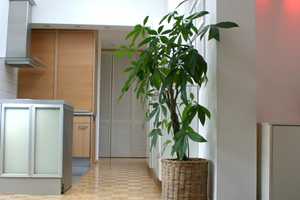 Helle und geräumige Dachgeschosswohnung mit Burgblick  – Pirckheimerstraße 39, 90408 Nürnberg – Vorschaubild 1